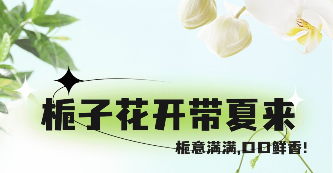 栀子花茶7月新上市 ，栀意满满，带你入夏 ！